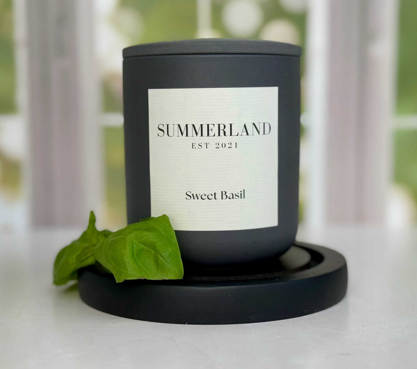 Sweet Basil